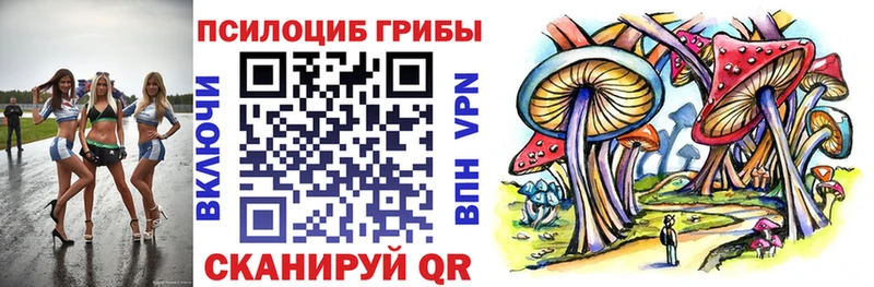 Псилоцибиновые грибы Psilocybe  Верхоянск 